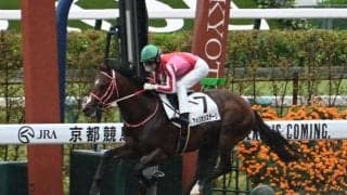 【米・BCスプリント結果】アメリカンステージは4着健闘 ベントルナートが逃げ切りV