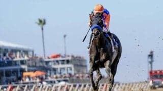 【BCフィリー＆メアスプリント】バファード師「この馬はデルマーが好き」…米スプレンドラが圧勝