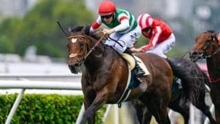 【天皇賞(秋)予想】一線級が集う芝中距離王決定戦 いかにロスなく最初のコーナーを回れるかが鍵に