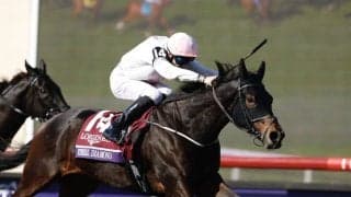 【BCターフ】平地障害の二刀流エシカルダイアモンドが大金星…レベルスロマンスは2着