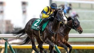 【天皇賞(秋)予想】数字が示すリアルな上位の姿とは？ 過去データから探るGI天皇賞(秋)