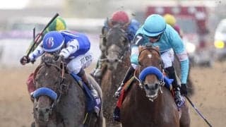 【BCダートマイル】米ナイソスが接戦を制する…バファート厩舎ワンツー