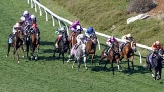 【BCターフスプリント】伊藤大師「世界は広かった」…インビンシブルパパ果敢に先行も6着