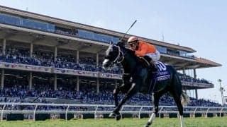 【BCターフスプリント】オルティスJr.「とても楽でした」…米シソスパイシーが“圧逃”V！日本勢は完敗