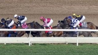 【BCディスタフ】フレイ騎手「最後の脚を無くしてしまった」…アリスヴェリテは見せ場作れず10着