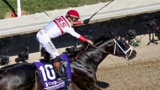 【BCスプリント】オルティスJr.＆ダンジェロ師が“連続逃走劇”…ベントルナートが圧逃