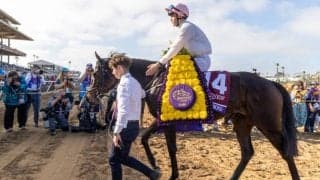 【BCターフ】ミニーホークもゴリアットも斬り伏せた、二刀流エシカルダイアモンド…マクモナグル「最高の形になりました」