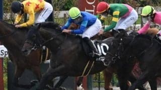 【もちの木賞結果】パイロマンサーが人気に応えてデビュー2連勝 16頭中15頭が前走1着馬のハイレベルな一戦制す