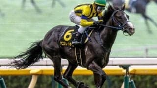 【天皇賞(秋)・馬体重】マスカレードボールは470kg(+4)、タスティエーラは508kg(+10)