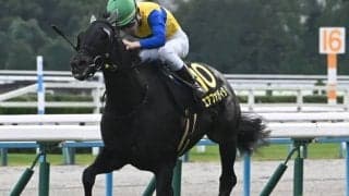 【JRA・WIN5】本日のWIN5は的中80票、配当713万2610円