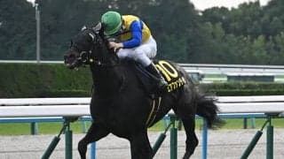 【まほろばS結果】10番人気エアファンディタがゴール前の激戦を制す