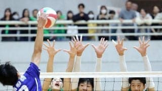 春高バレー千葉代表　男子は市立船橋が16年ぶり、女子は敬愛学園が3年ぶりに全国切符