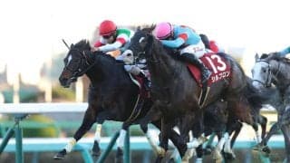 【豪メルボルンカップ】シュヴァリエローズ、好枠5番から南半球最大の長距離決戦へ