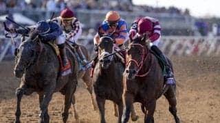 【BCクラシック】連覇を狙ったシエラレオーネは届かず2着…ブラウン師「きょうはフォーエバーヤングの日だった」