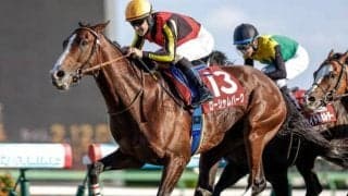 アルゼンチン共和国杯など4重賞 地方ではJBC/今週の競馬界の見どころ