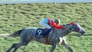 『ウマ娘』でもハングリー精神に満ちたタマモクロスの快進撃　芦毛のライバルとの激闘には列島が熱狂