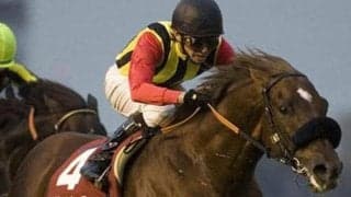 父グラスワンダーの血をつなぐ スクリーンヒーローの重賞初V