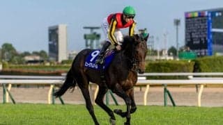 【天皇賞・秋】C.デムーロ「いい競馬してくれた」レース後ジョッキーコメント