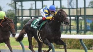 【船橋・JBCスプリント注目馬】ダ1000mで争われる電撃JpnI戦 究極のスピード勝負を制すのは