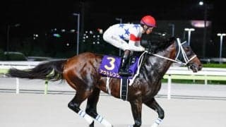 【みやこS見どころ】実績上位のアウトレンジが中心