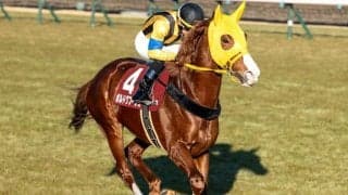 【AR共和国杯見どころ】ボルドグフーシュの復活に期待