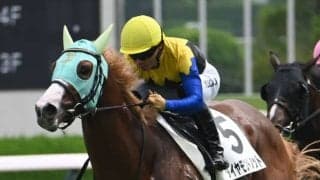 【京王杯2歳S見どころ】距離延長で頭角を現してきたダイヤモンドノット