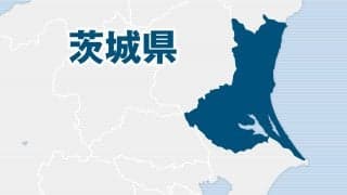 春高バレー茨城県予選、女子は土浦日大が6年ぶりに全国切符