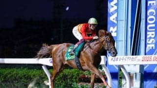 【船橋・平和賞枠順】前々走でルーキーズサマーCを制したロードレイジングは7枠7番