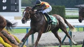 【ファンタジーS】売上は36億5880万5000円で昨年より約8.4億円増加