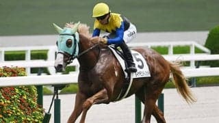 【京王杯2歳S想定騎手】ダイヤモンドノットはC.ルメール騎手、シャオママルはA.プーシャン騎手