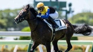 【先週のJRA抹消馬】22年ニュージーランドTで3着のリューベック、芝中距離で4勝のキミノナハマリアなど