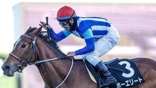 【AR共和国杯想定騎手】ホーエリートは戸崎圭太騎手、スティンガーグラスはC.ルメール騎手