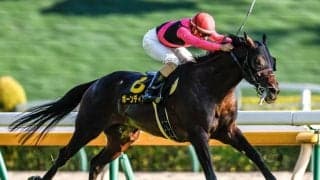 【AI予想・AR共和国杯】人工知能は波乱の決着を示唆!? 配当妙味十分な本命候補3頭