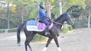 おじに重賞3勝シャケトラがいるミラージュノワール 宮田師「ポテンシャルは高いと思う」/関東馬メイクデビュー情報