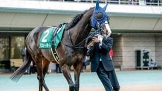 マスカレードボールが天皇賞(秋)を制覇 東京芝で“信頼性抜群”の血統背景とは