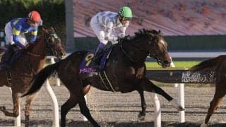 【JBCレディスクラシック】武豊「手応えが急になくなった」オーサムリザルト復活Vならず