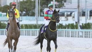 【JBCスプリント】戸崎「ポジションはやはり後ろに…」クロジシジョーは差し脚伸ばすも5着まで