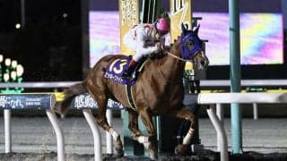 JBC開催船橋競馬が売得金レコードを更新…1日で83億円超、JBCクラシックも歴代最高に