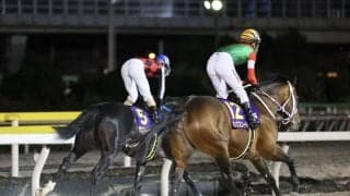 【JBCクラシック】藤岡佑「左回りはあまりよくなさそうです」キングズソードはしぶとく4着