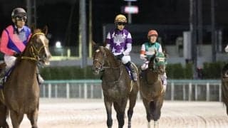 【JBCクラシック】坂井瑠「返し馬の感じは悪くないと思ったのですが…」サンライズジパングは見せ場作れず10着敗退