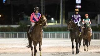 【JBCクラシック】浜中「底力を感じるレース内容」メイショウハリオは力示す2着