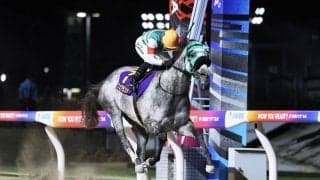 【地方競馬】フェブランシェが総合優勝…グランダム・ジャパン2025古馬・秋シーズン