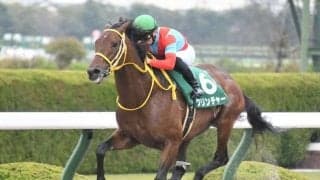 凱旋門賞にも挑戦したクリンチャー ダート重賞初制覇を果たした20年みやこSを回想