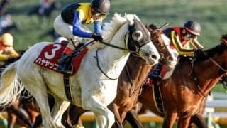 1位は白毛の古豪が魅せた大外一気 アルゼンチン共和国杯の勝ち時計ランキング