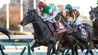 【豪・メルボルンC結果】ハーフユアーズが優勝 日本のシュヴァリエローズは23着