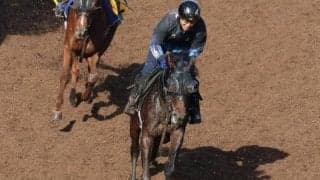 バステールなど、先週のゲート試験/栗東トレセンニュース