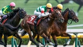 【AR共和国杯予想オッズ】レーベンスティールが予想1番人気