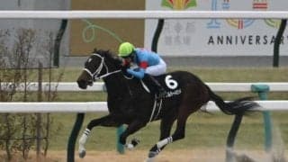 【みやこS予想オッズ】ダブルハートボンドが予想1番人気