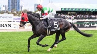 【豪メルボルンカップ】レーン「良い時の走りではなかった」…シュヴァリエローズは23着大敗、女性騎手J.メルハム騎乗ハーフユアーズがV