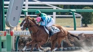 【京都JS予想オッズ】ディナースタが予想1番人気